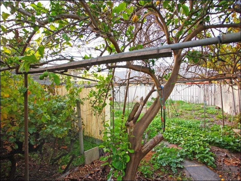 64 Cross Street, Queens Park WA 6107