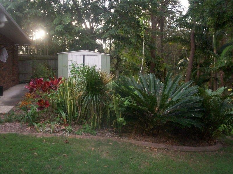 Alexandra Hills QLD 4161