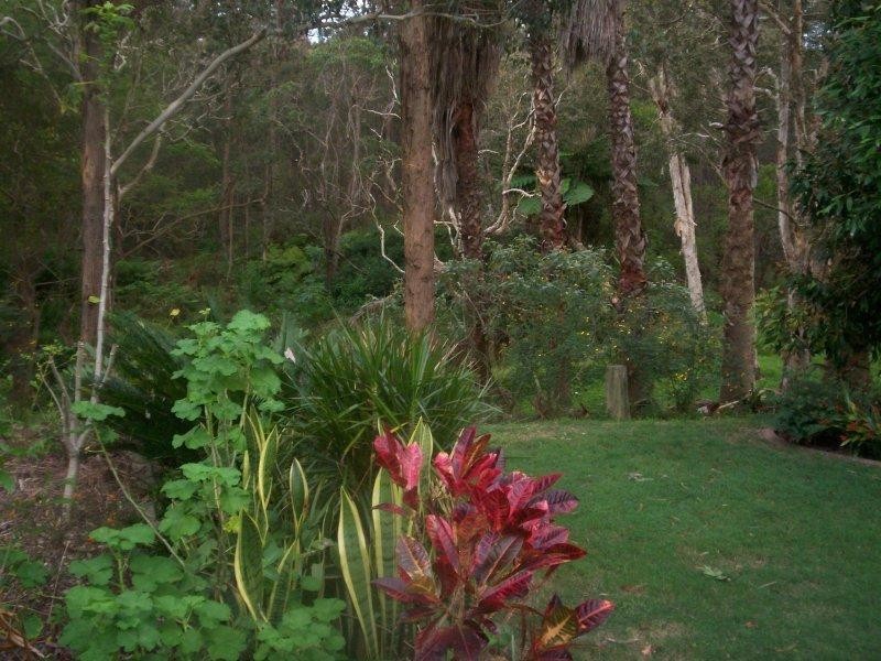 Alexandra Hills QLD 4161