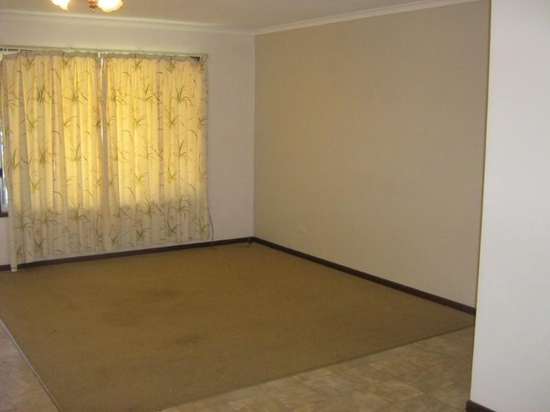 41 Amaryllis Street, Alexandra Hills QLD 4161