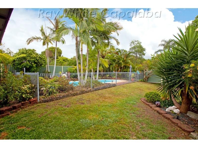 50 Sherington Street, Alexandra Hills QLD 4161