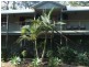 2 President Terrace, Macleay Island QLD 4184