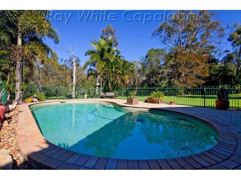 11 Wildflower Street, Capalaba QLD 4157