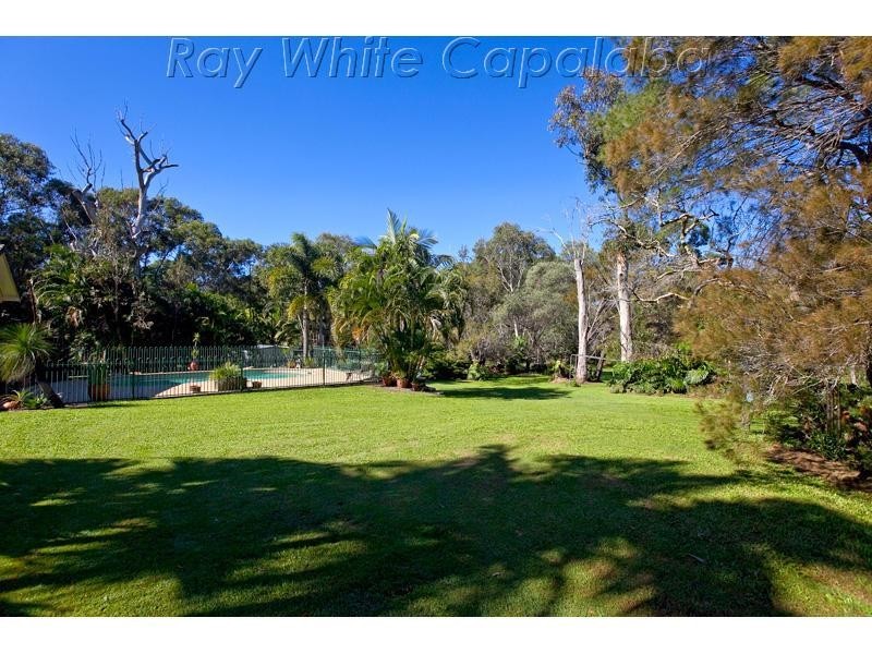 11 Wildflower Street, Capalaba QLD 4157