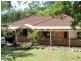 61 Spoonbill Street, Birkdale QLD 4159