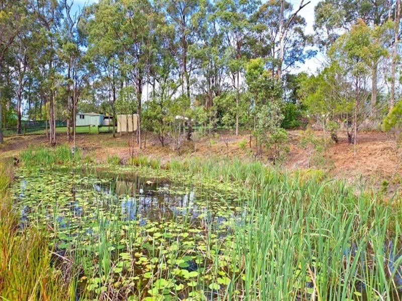 22 Seven Oaks Street, Alexandra Hills QLD 4161