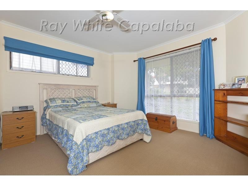 20 Alpinia Street, Alexandra Hills QLD 4161