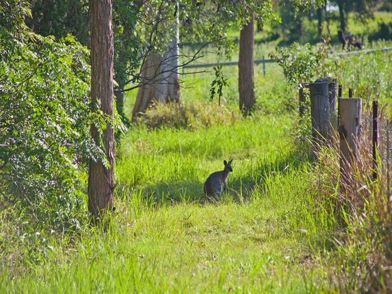 9 Double Jump Road, Redland Bay QLD 4165