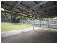 19 Muskwood Street, Capalaba QLD 4157