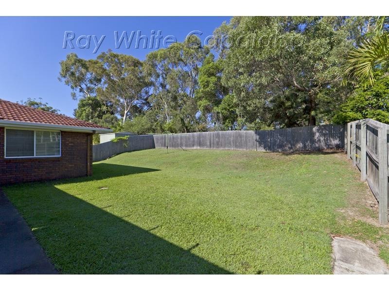 19 Muskwood Street, Capalaba QLD 4157