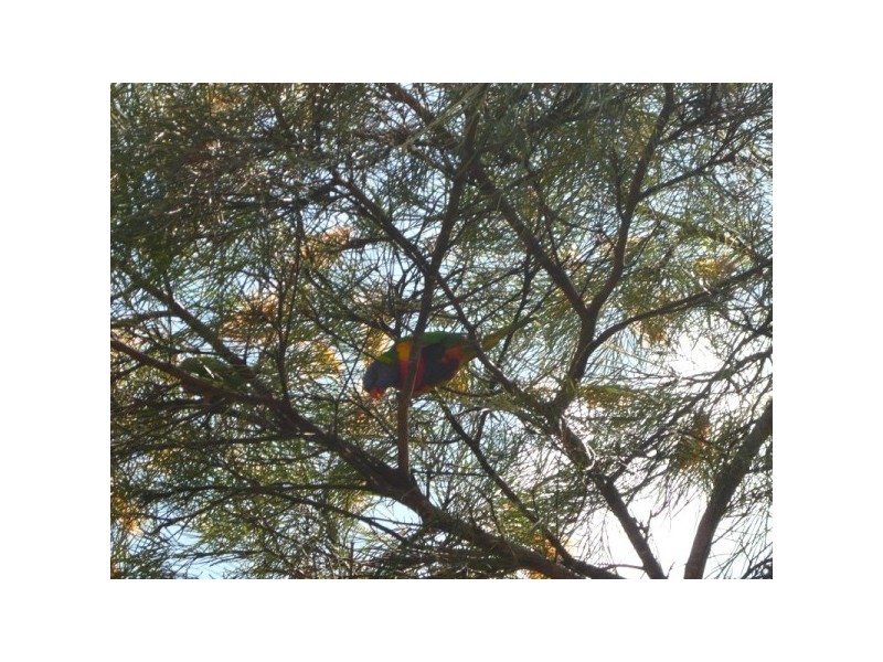 11/380 Nottingham Road, Algester QLD 4115