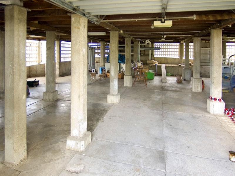 11 Faraday Street, Camp Hill QLD 4152