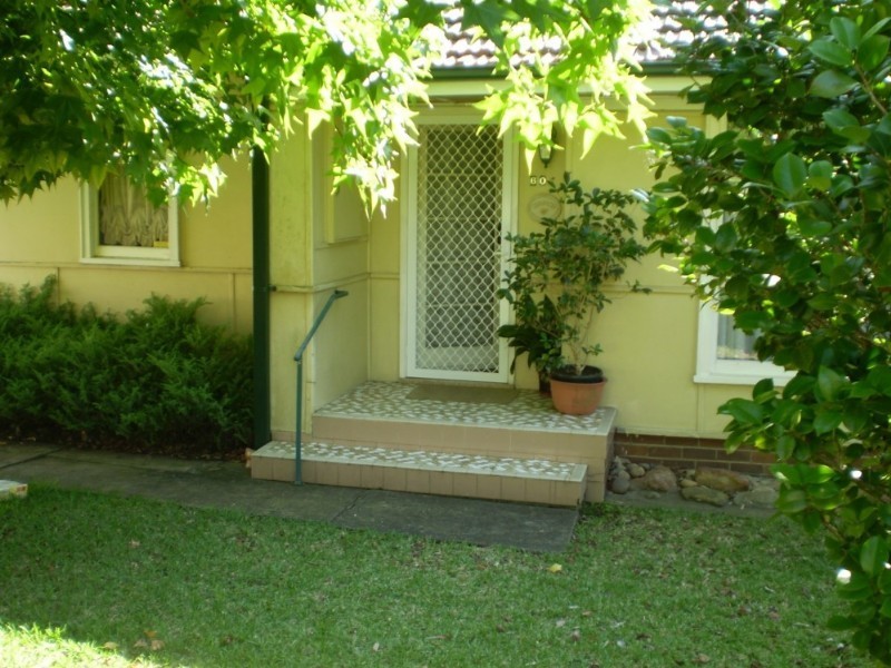60 Moffatts Drive, Dundas NSW 2117