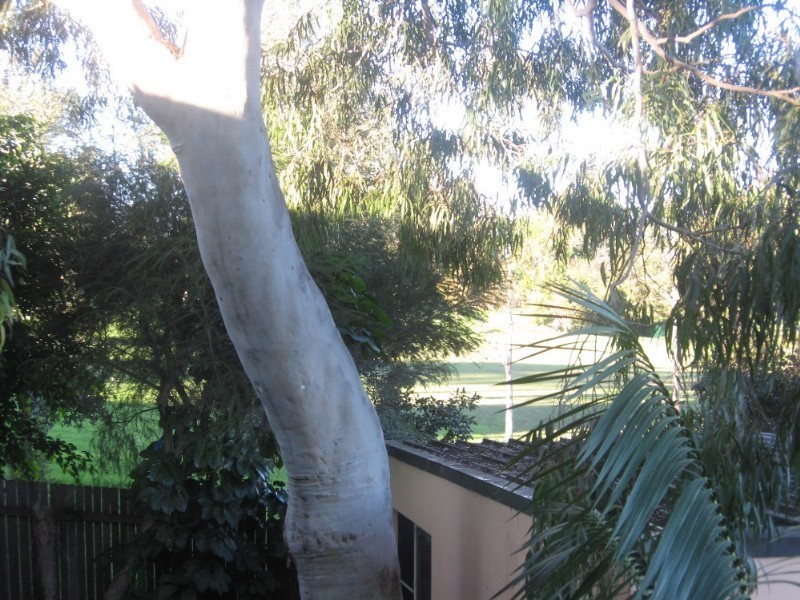 21 Sinfield Street, Ermington NSW 2115