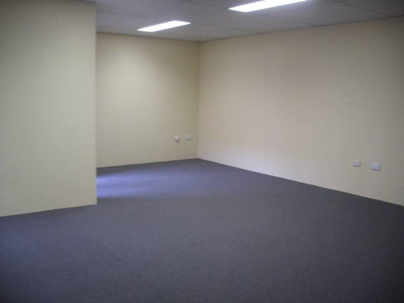 174 Liverpool Road, Enfield NSW 2136