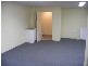 174 Liverpool Road, Enfield NSW 2136