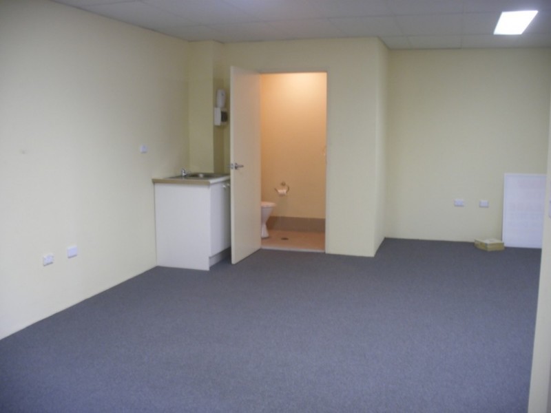 174 Liverpool Road, Enfield NSW 2136