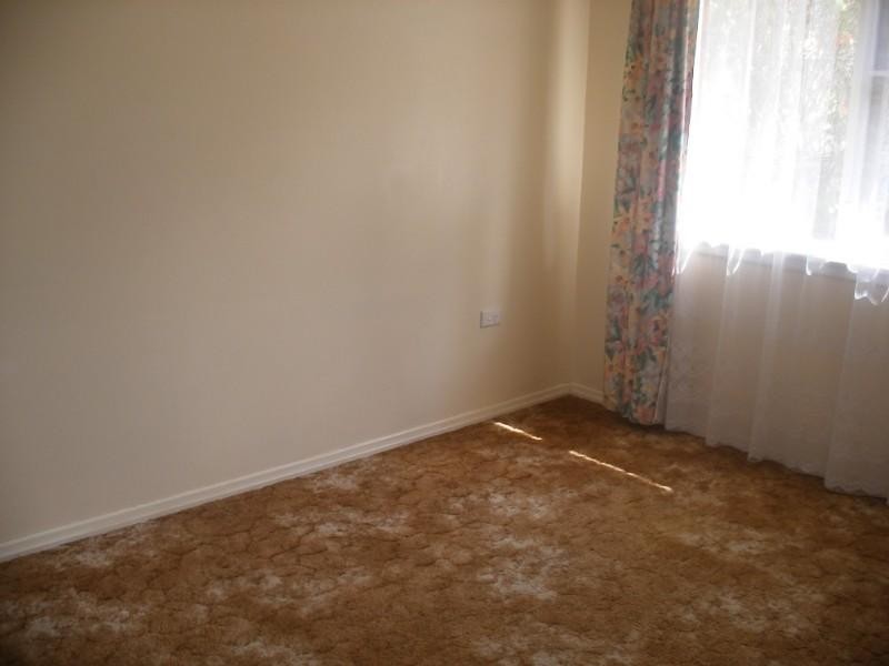 29 Felton Street, Telopea NSW 2117