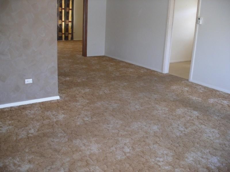 29 Felton Street, Oatlands NSW 2117