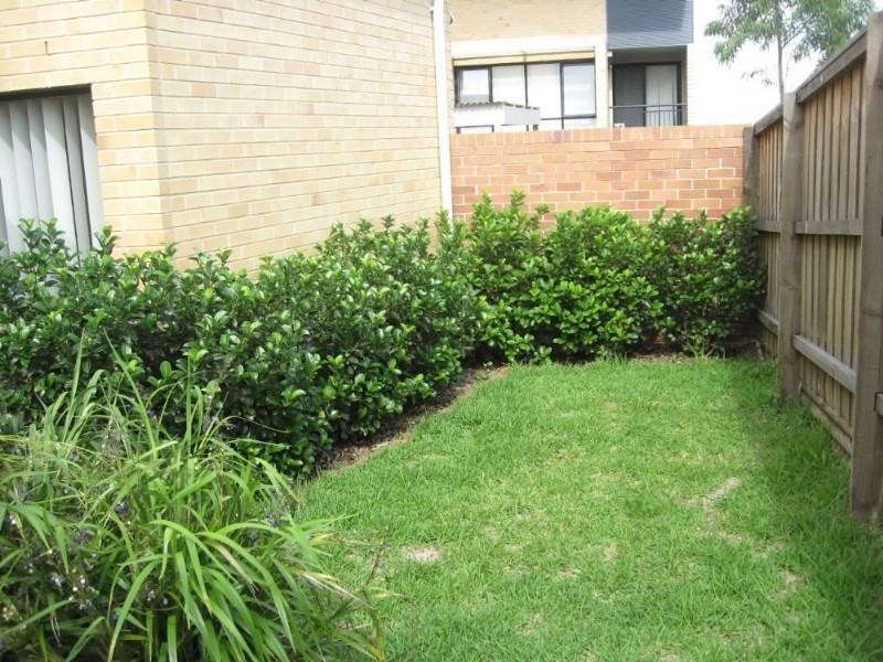 1/2 Charles Street, Carlingford NSW 2118