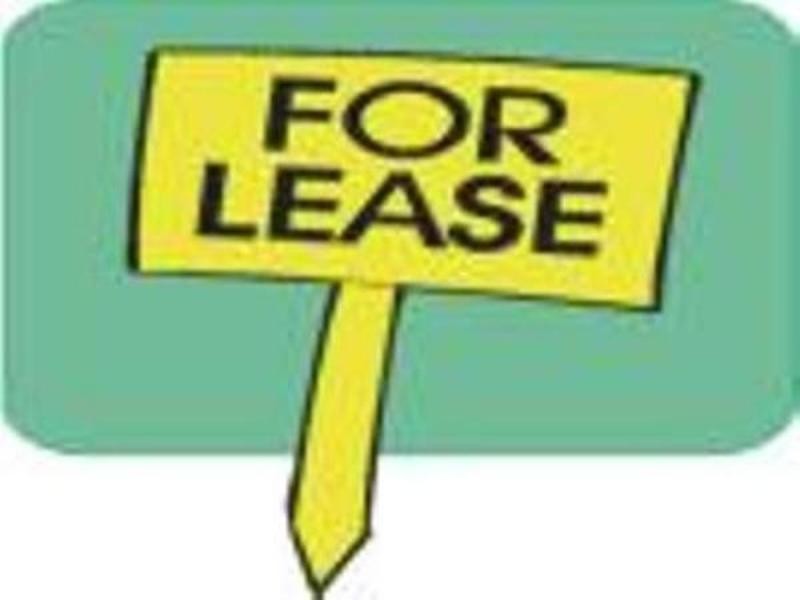 14A Macarthur Street, Ermington NSW 2115