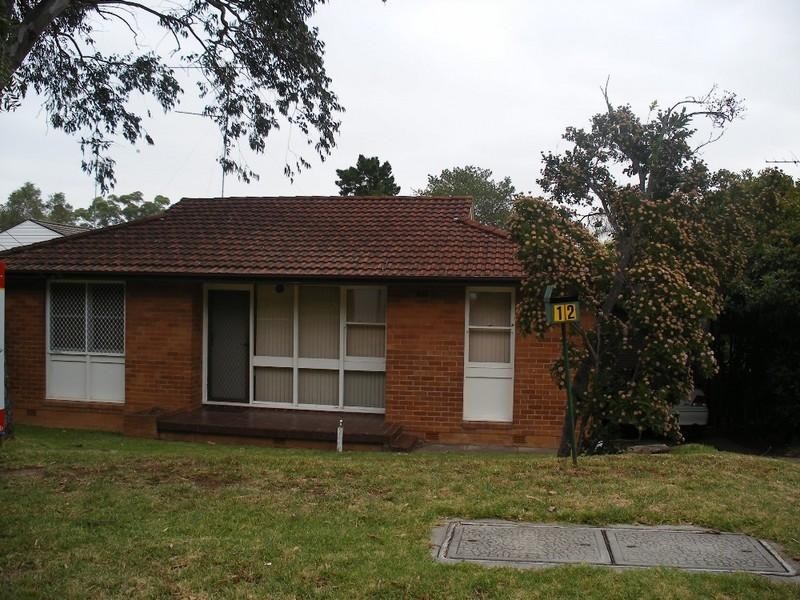 12 Friendship Street, Dundas NSW 2117
