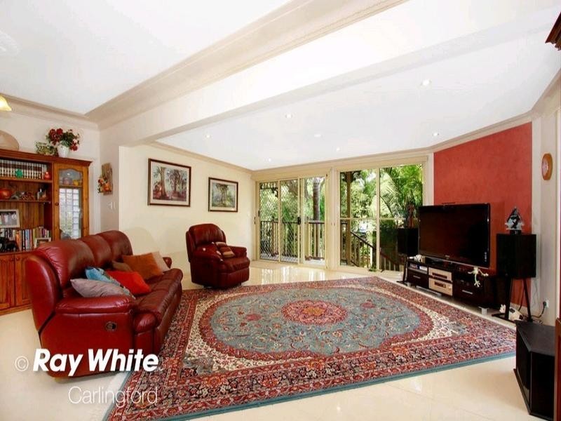 28 Wilkinson Lane, Telopea NSW 2117