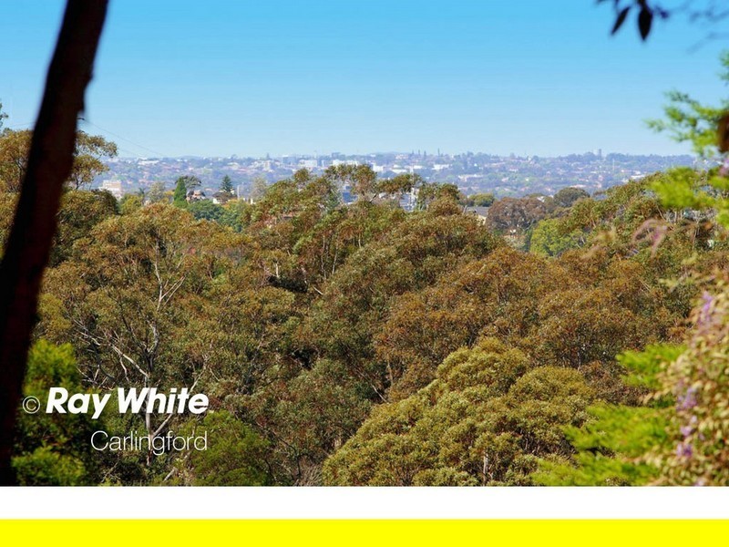 20/346 Pennant Hills Road, Carlingford NSW 2118