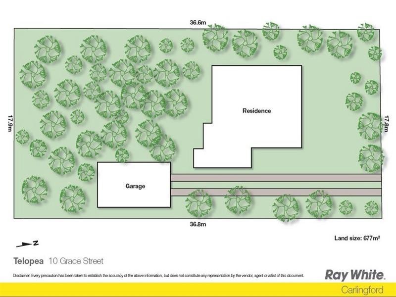 10 Grace Street, Telopea NSW 2117