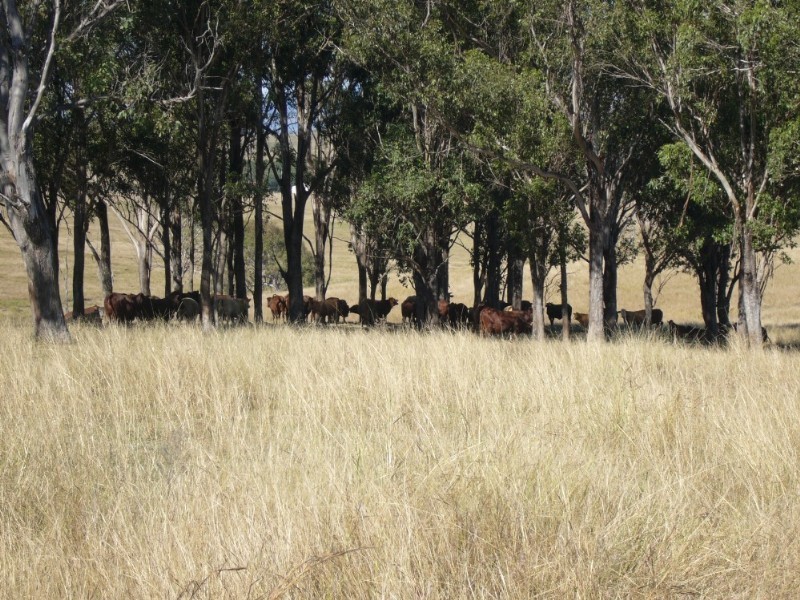 Kilcoy QLD 4515