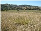 Kilcoy QLD 4515
