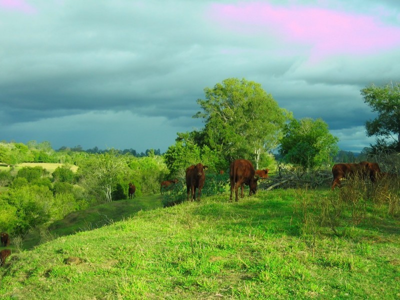 Toogoolawah QLD 4313