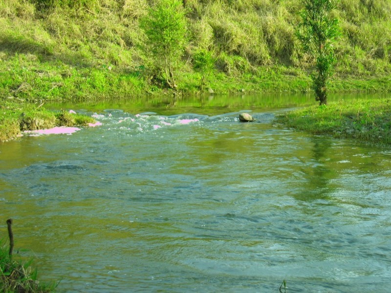 Toogoolawah QLD 4313