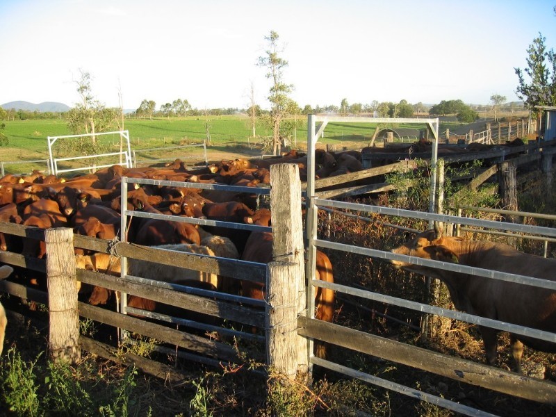 Toogoolawah QLD 4313