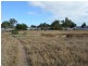 Lot 9500 Shallcross Street, Carnarvon WA 6701