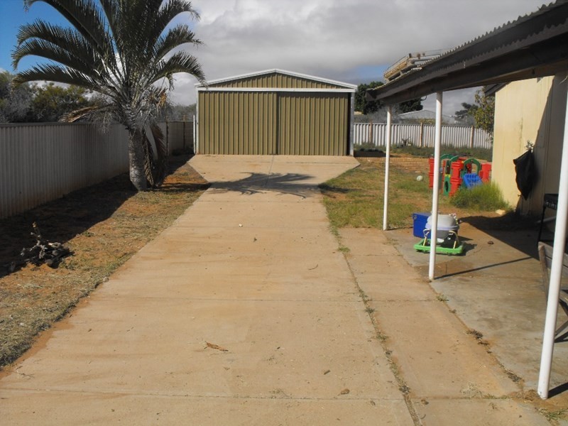 31 Douglas Street, Carnarvon WA 6701