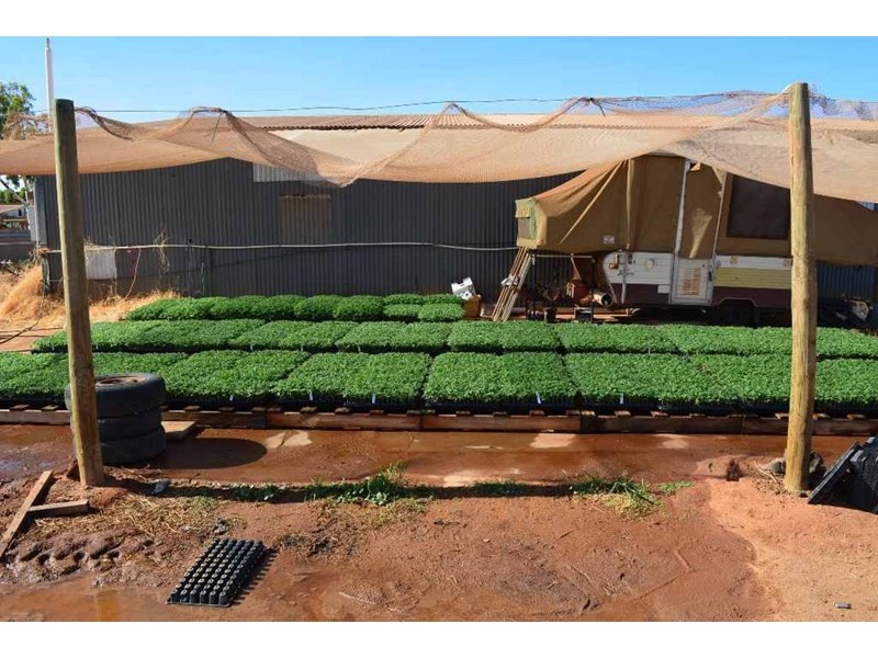 531 Robinson Street, Carnarvon WA 6701