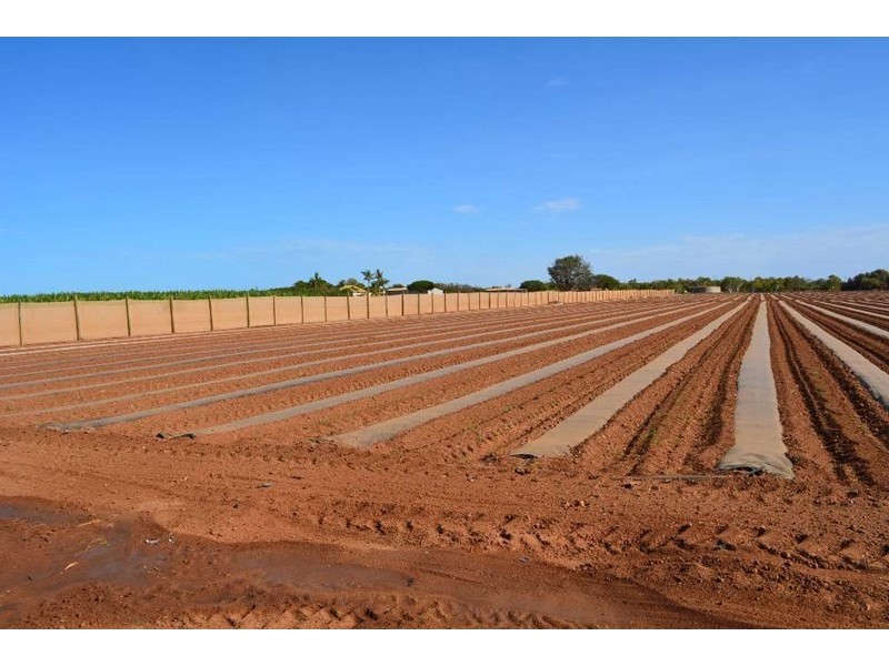 531 Robinson Street, Carnarvon WA 6701