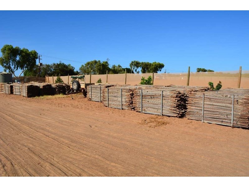 531 Robinson Street, Carnarvon WA 6701