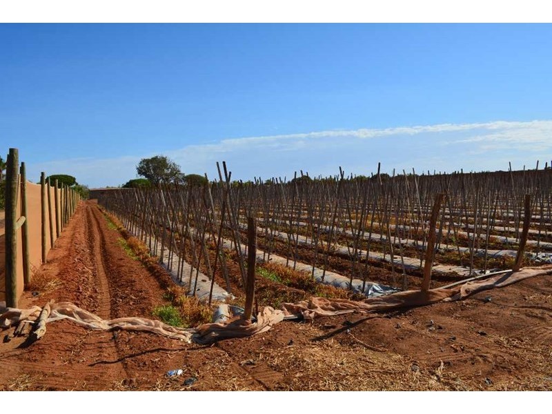 531 Robinson Street, Carnarvon WA 6701