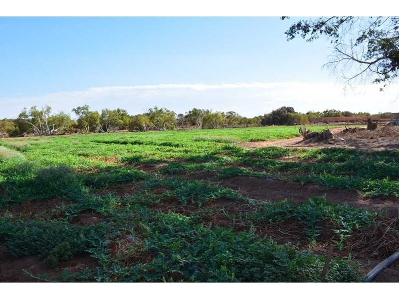 531 Robinson Street, Carnarvon WA 6701