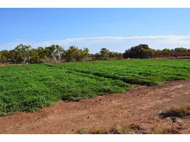 531 Robinson Street, Carnarvon WA 6701