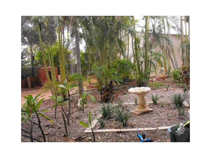 12 Butcher Street, Carnarvon WA 6701