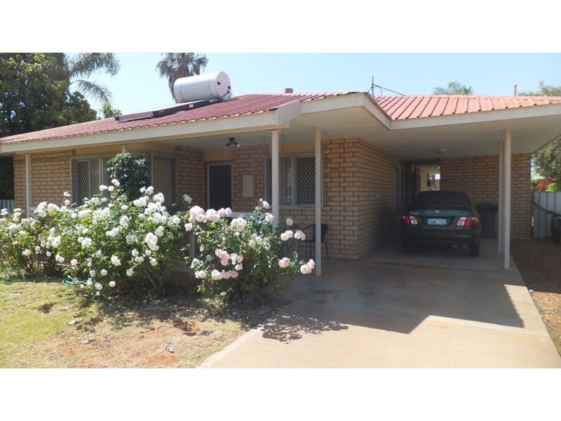 3 Buzolic Court, Carnarvon WA 6701