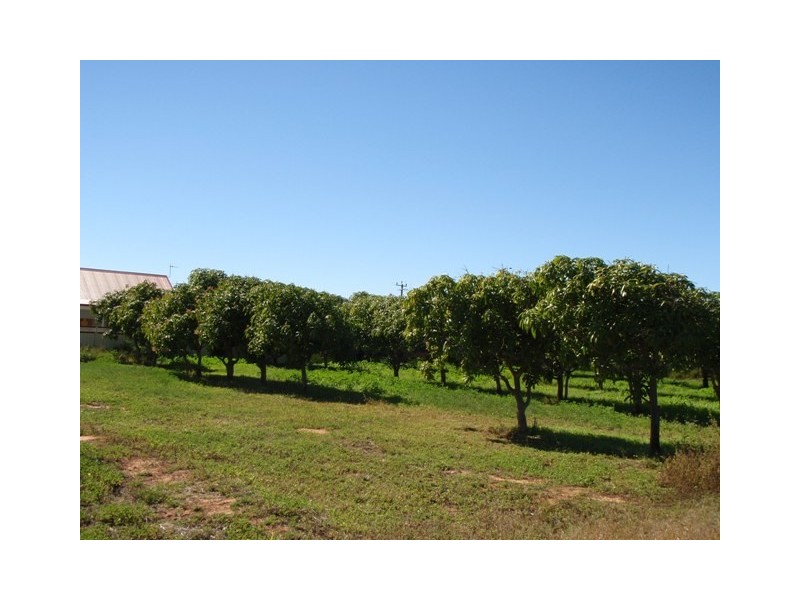 21 William Street, Carnarvon WA 6701