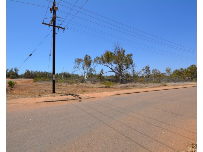 39 Gascoyne Road, Carnarvon WA 6701