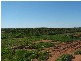 Lot 1 of 552 South River Road, Carnarvon WA 6701