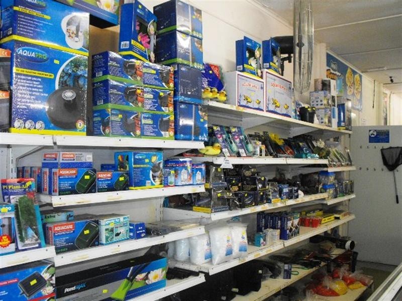 17 Hubble Street, Carnarvon WA 6701