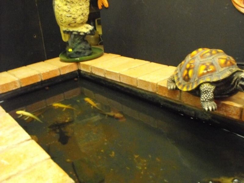 17 Hubble Street, Carnarvon WA 6701