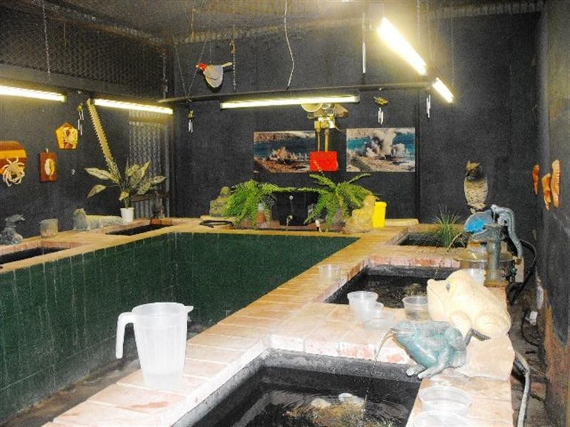 17 Hubble Street, Carnarvon WA 6701